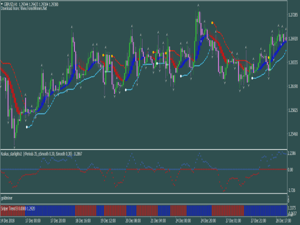 faizumi-fx-trading-system