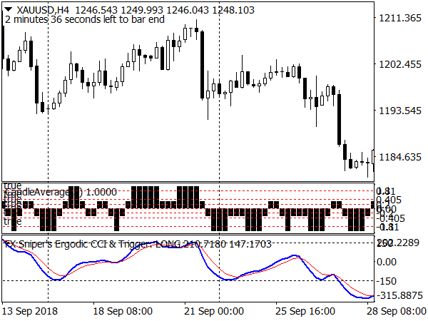 fx-sniper-with-ca-system