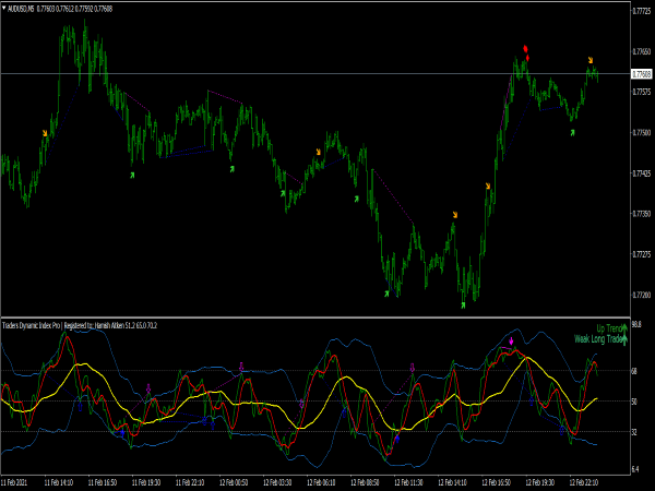 Traders Dynamic Index PRO Indicator