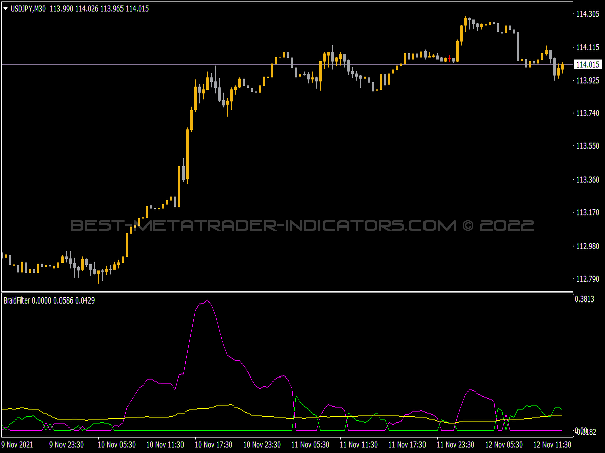 Braid Filter Indicator for MT4