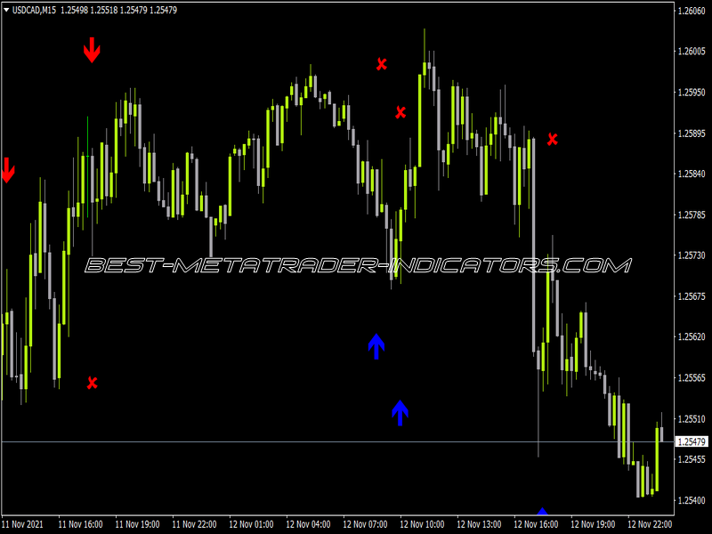 Forex 50 Pips