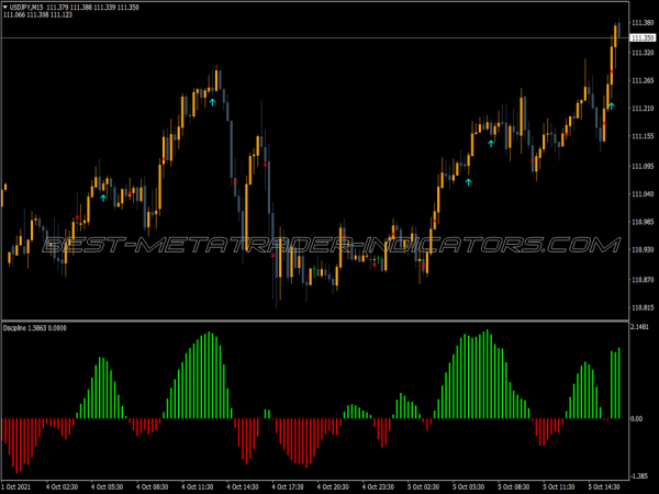 Discipline Indicator for MT4