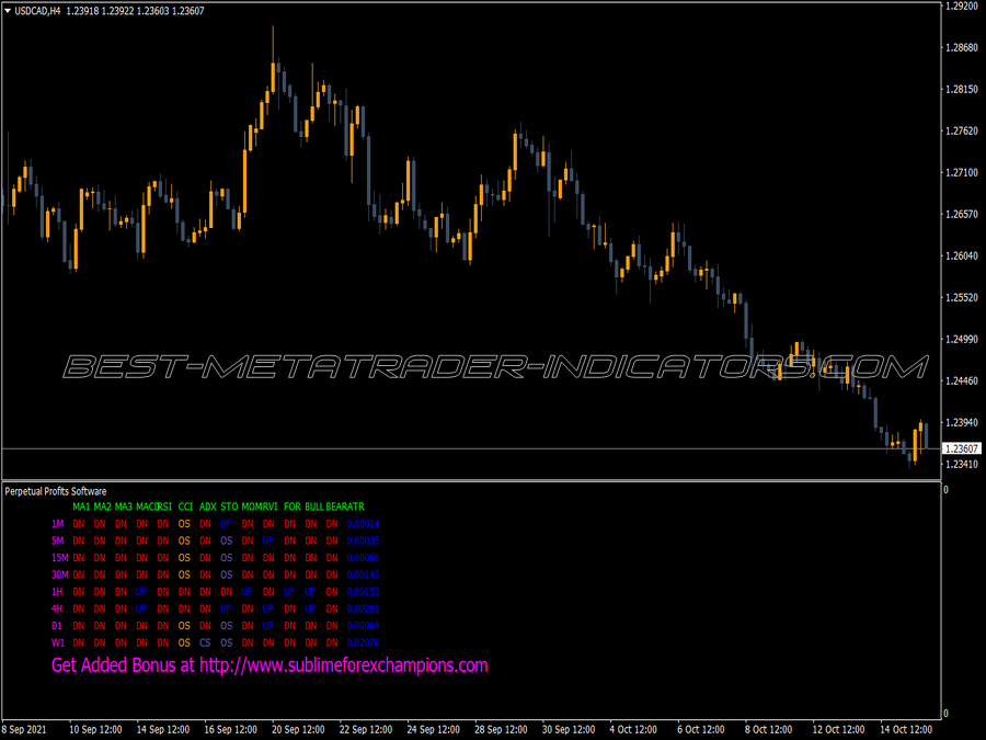 Perpetual Profits Software Indicator