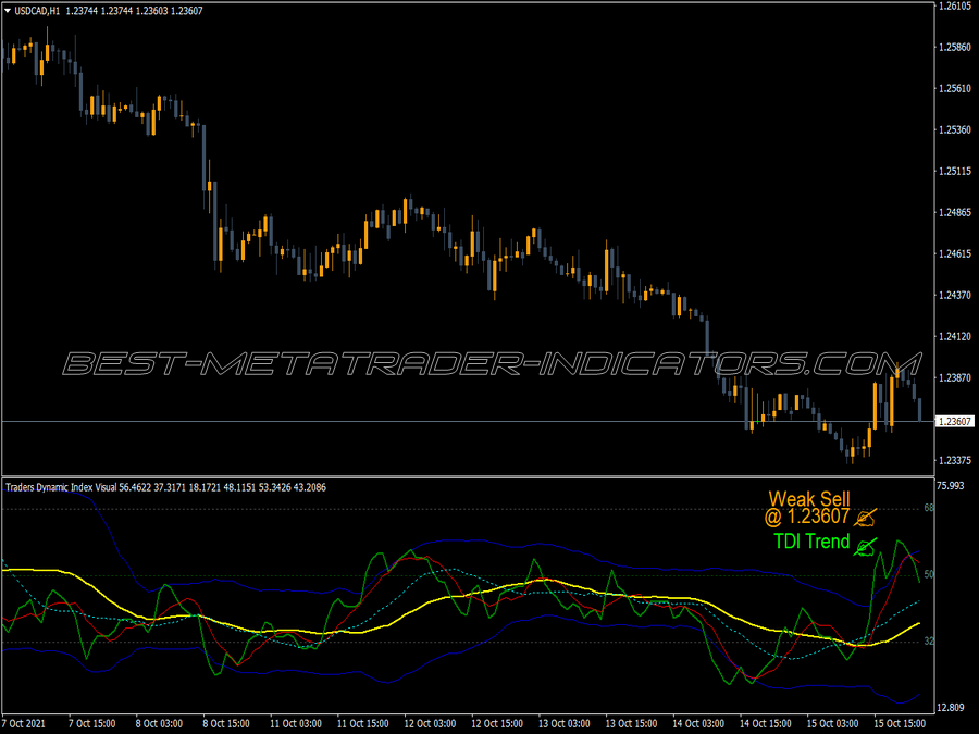 Traders Dynamic Index Alert MT4 Indicator