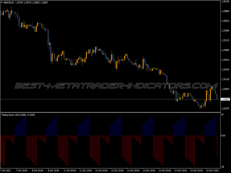 Trading Hours MT4 Indicator