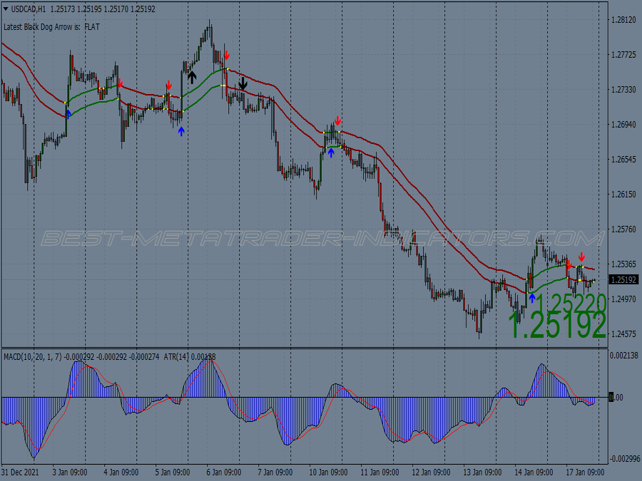 Bd Supermaster Trading System for MT4