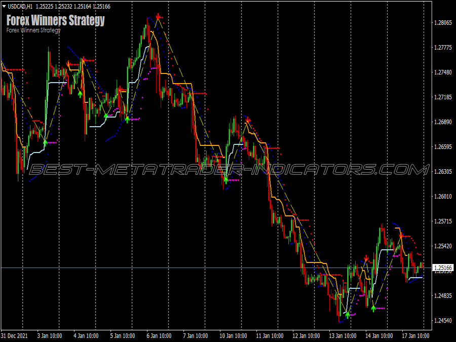 Best Winners Scalping System