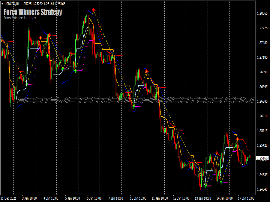 Best Winners Scalping System for MT4