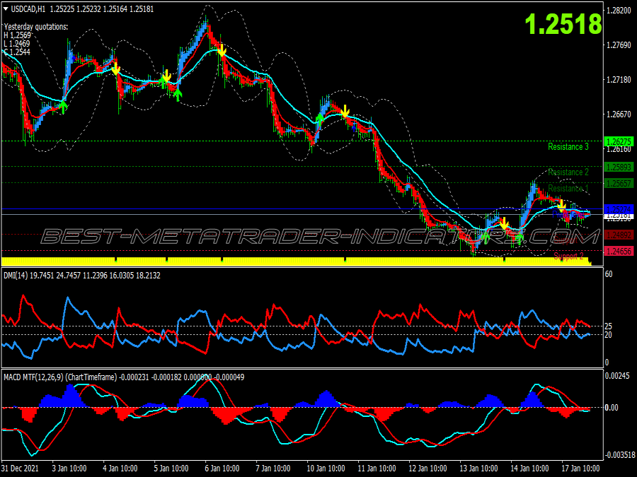 Bidara Dmi Trading System for MT4