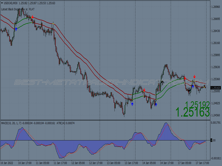 Black Dog Cross Trading System