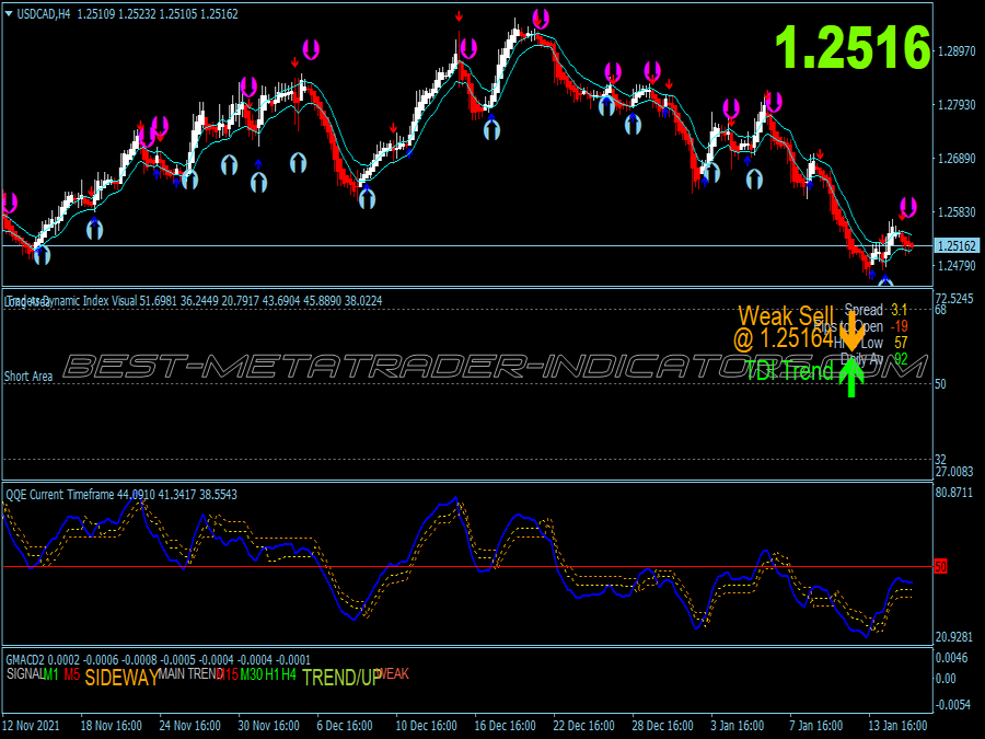 Black King Trading System for MT4