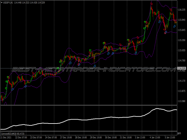Connors Rsi Binary Options System for MT4