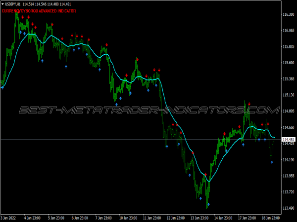 Cyborg Alert Scalping System for MT4