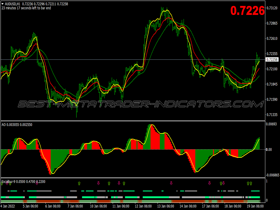 Derma Bears Bulls Trading System