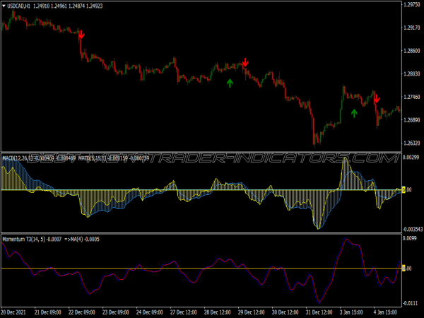 Double Macd Momentum Trading System for MT4
