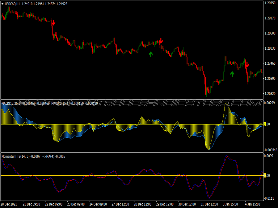 Double Macd Momentum Trading System for MT4