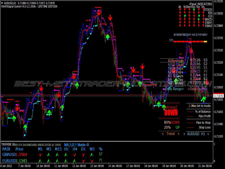 Ichi Brain Trading System