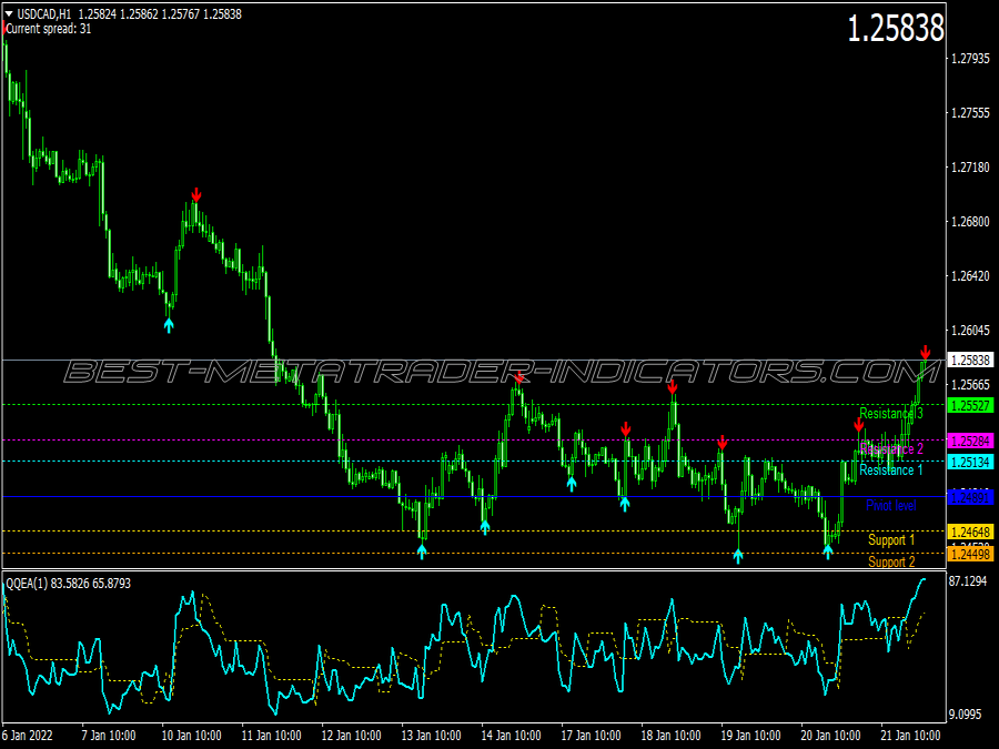 Magnified Alert Scalping System