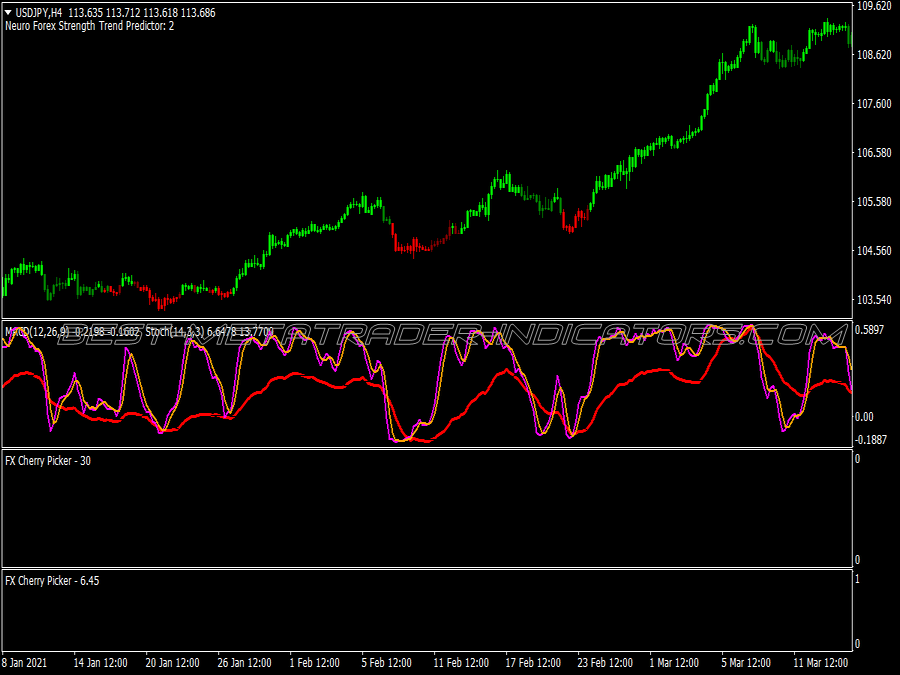 Pips Flush Trading System