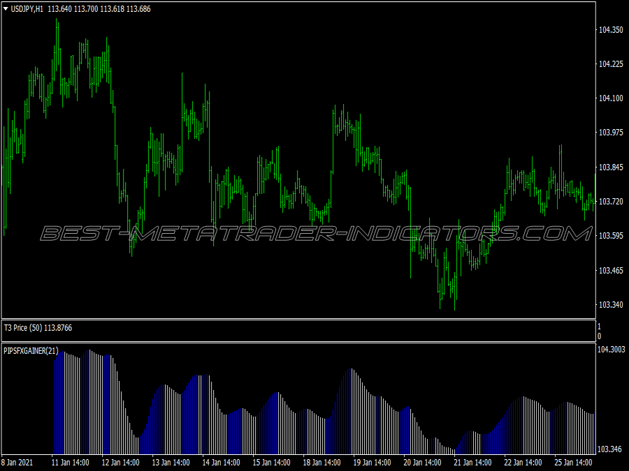 Pips Gainer Swing Trading System for MT4