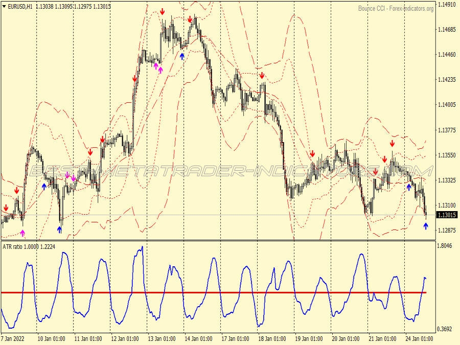 Range Market Trading System