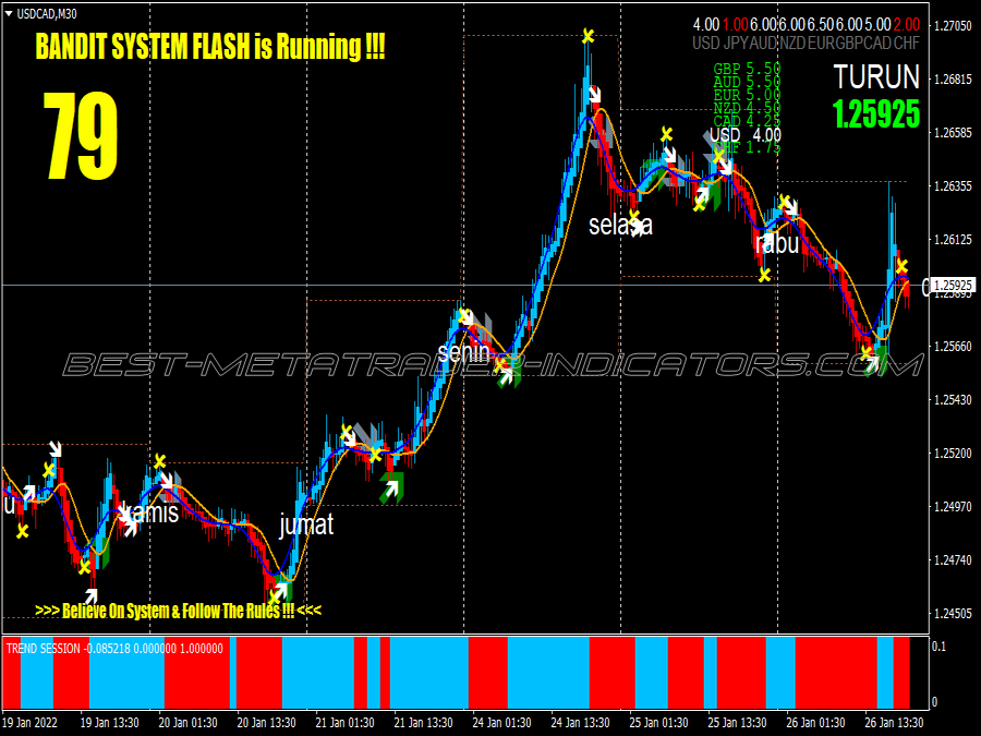 Trend Session Swing Trading System for MT4