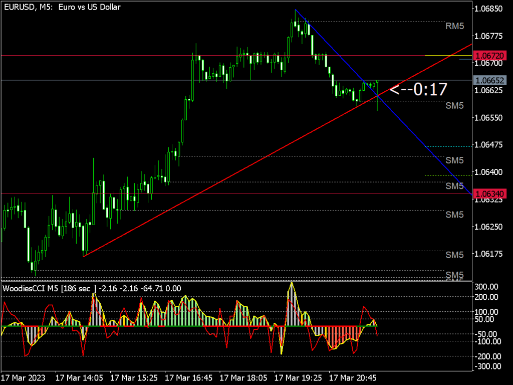 Operation Y Binary Trading System