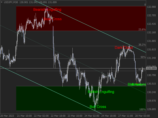 Belly Forex System and Indicator